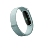 Google Fitbit Air Smart Fitness Tracker (Fog)