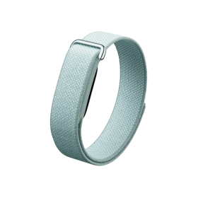 Google Fitbit Air Smart Fitness Tracker (Fog)