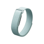 Google Fitbit Air Smart Fitness Tracker (Fog)