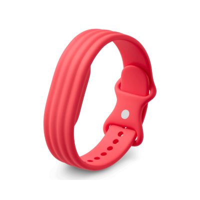 Google Fitbit Air Active Strap (Berry, Small)