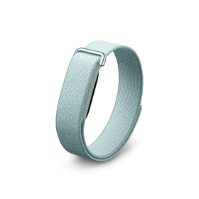 Google Fitbit Air Smart Fitness Tracker (Fog)