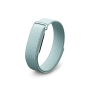 Google Fitbit Air Smart Fitness Tracker (Fog)