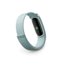 Google Fitbit Air Smart Fitness Tracker (Fog)
