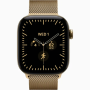 Apple Watch Series 12 GPS + Cellular 42mm Titanium Case with Radiant Gold Milanese Loop – 1 Year Warranty