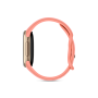 Google Fitbit Edge Smart Fitness Tracker (Champagne Gold Case, Canyon Active Band)