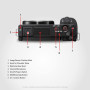 Sony Alpha ZV-E10L 24.2 Mega Pixel Interchangeable-Lens Mirrorless vlog Camera 4K Movie Recording with 16-50mm lens (Black)