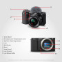 Sony Alpha ZV-E10L 24.2 Mega Pixel Interchangeable-Lens Mirrorless vlog Camera 4K Movie Recording with 16-50mm lens (Black)