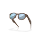 Oakley Meta HSTN Smart Glasses (Prizm Deep Water Polarized Lenses, Brown Smoke Frame)