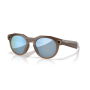 Oakley Meta HSTN Smart Glasses (Prizm Deep Water Polarized Lenses, Brown Smoke Frame)