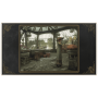 Hogwarts Legacy Standard Edition for Nintendo Switch 2 – Open World Harry Potter RPG Adventure Game