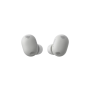 Sony WF-1000XM6 Wireless Noise Cancelling Earbuds (Platinum Silver)